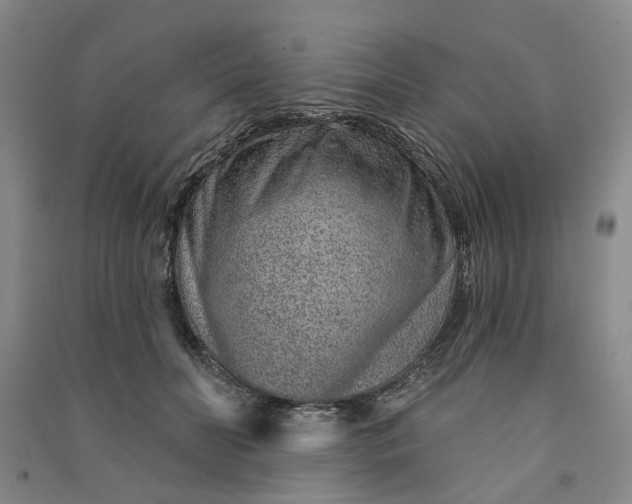 X0000090950606200708161757