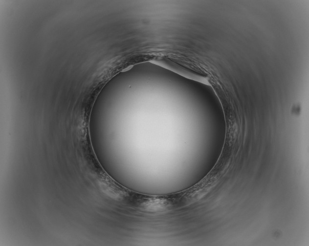 X0000090950609200708161757