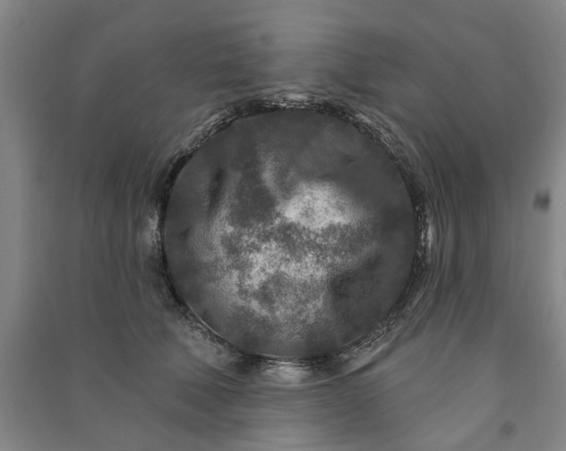 X0000090950610200708161757