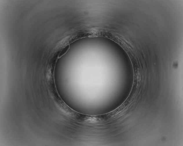 X0000090950611200708161757
