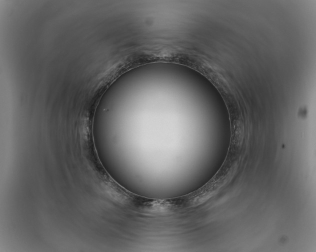 X0000090950612200708161757
