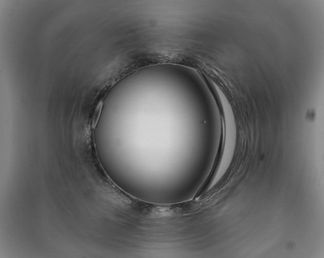X0000090950613200708161757