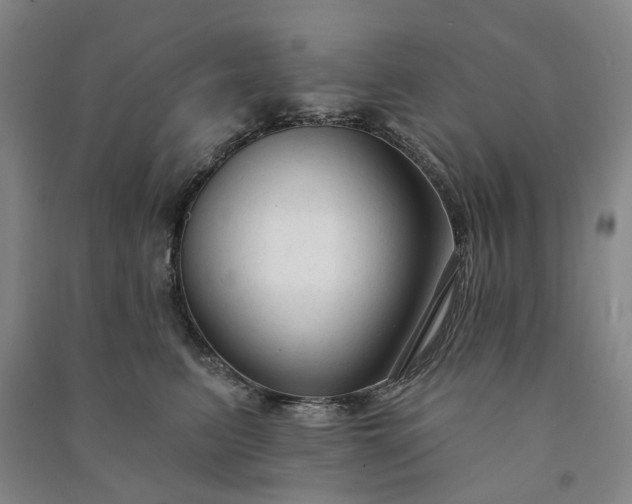 X0000090950615200708161757