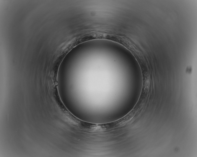 X0000090950616200708161757