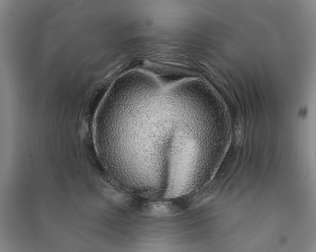 X0000090950618200708161757