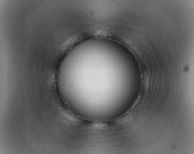 X0000090950619200708161757