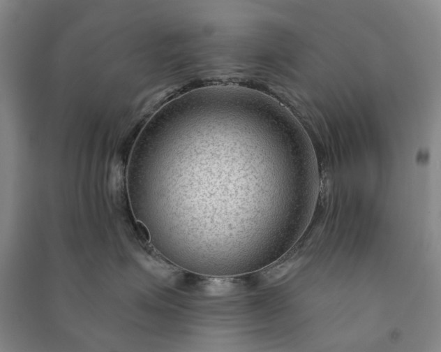 X0000090950623200708161757