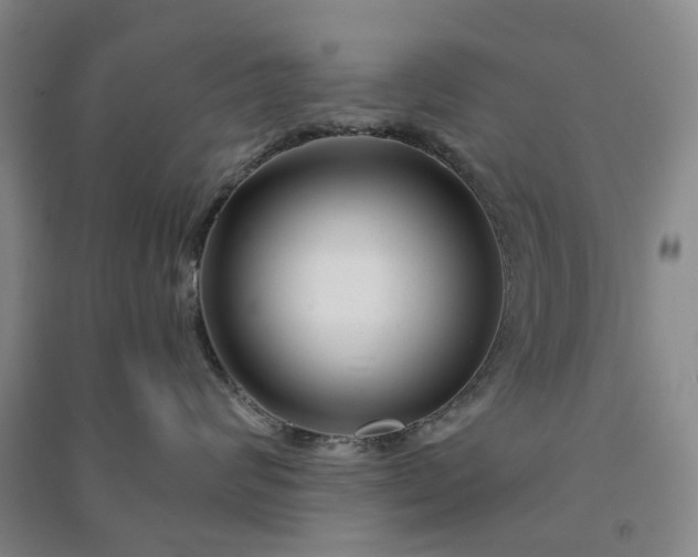 X0000090950624200708161757