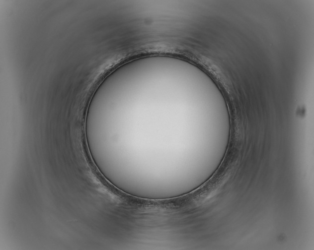 X0000090950625200708161756