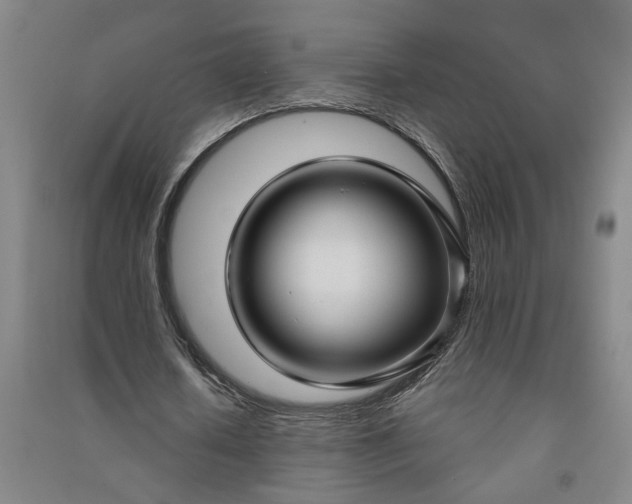 X0000090950626200708161756