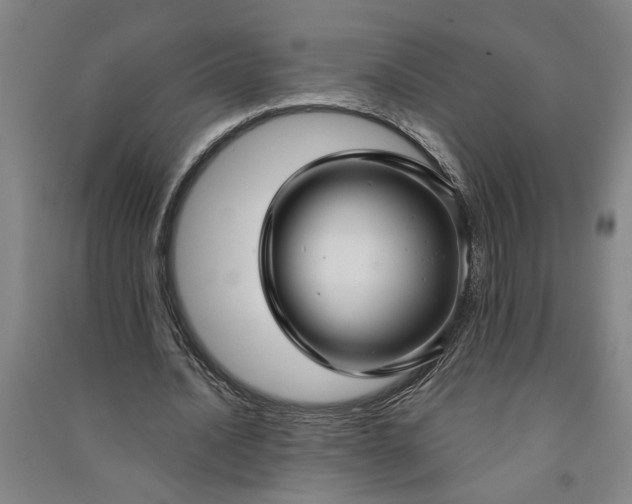 X0000090950628200708161756