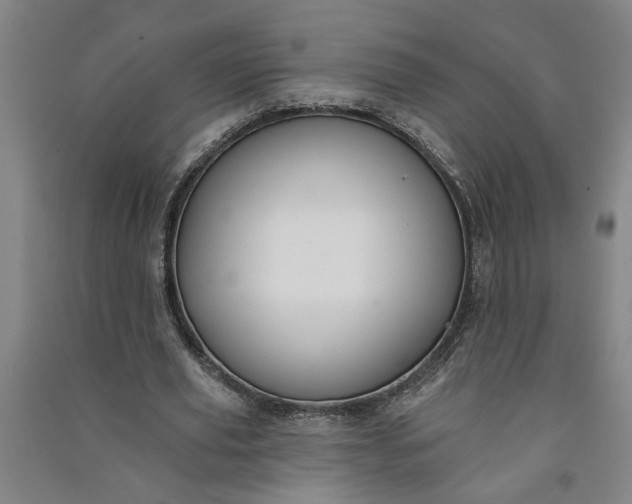 X0000090950629200708161756