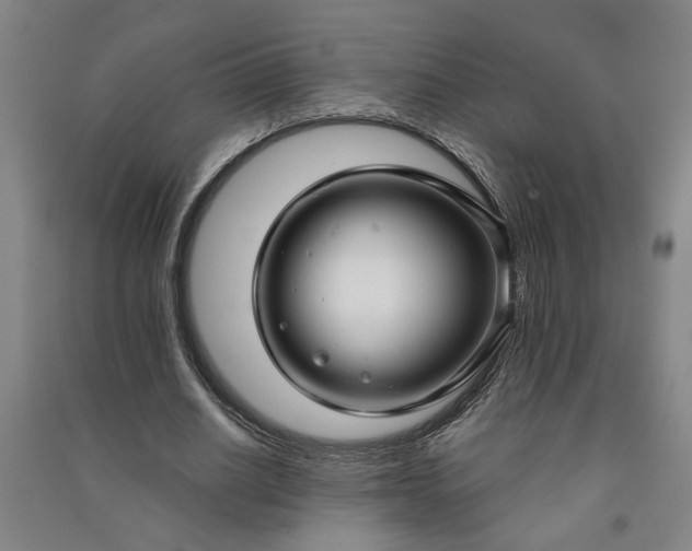 X0000090950630200708161756
