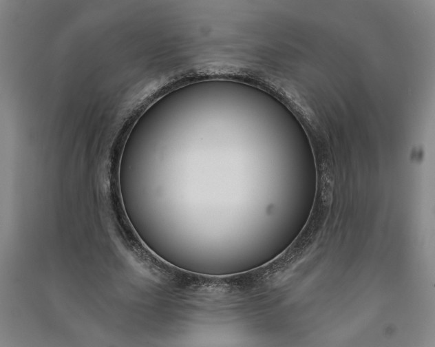 X0000090950631200708161756