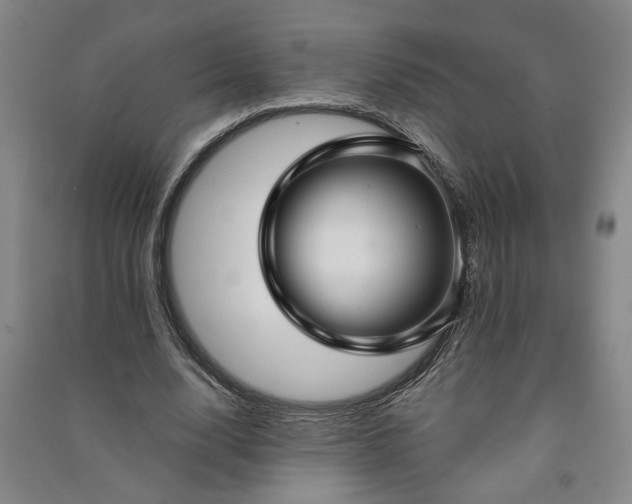 X0000090950632200708161756