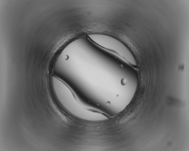X0000090950634200708161757