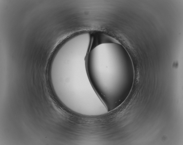 X0000090950636200708161757