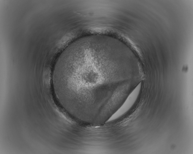 X0000090950637200708161757