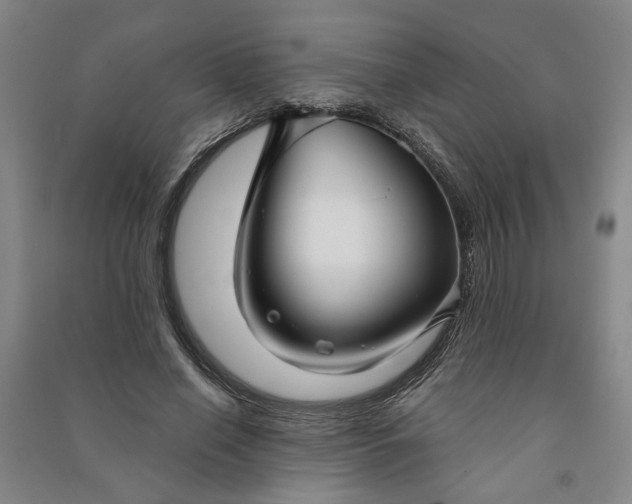 X0000090950638200708161757