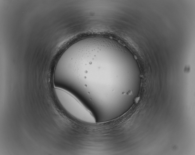 X0000090950640200708161757