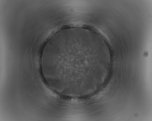 X0000090950641200708161757