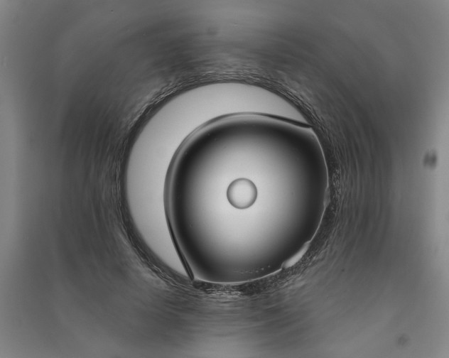 X0000090950642200708161757