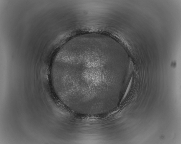 X0000090950643200708161757