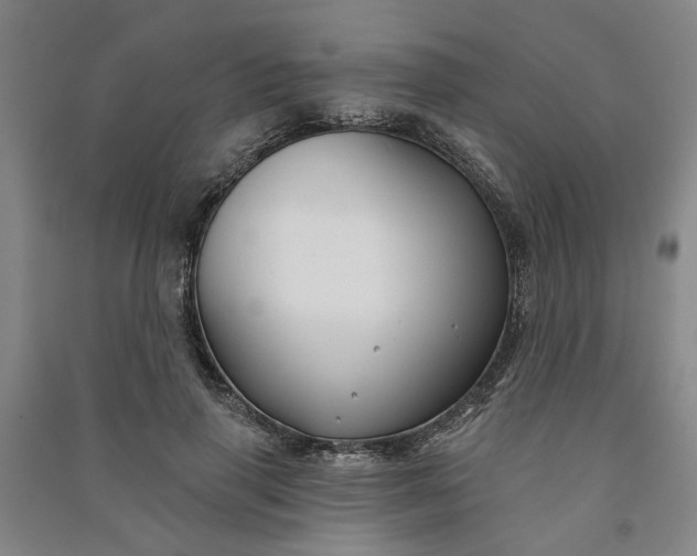 X0000090950645200708161757