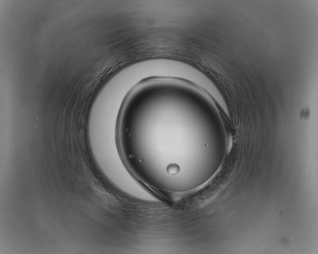 X0000090950646200708161757