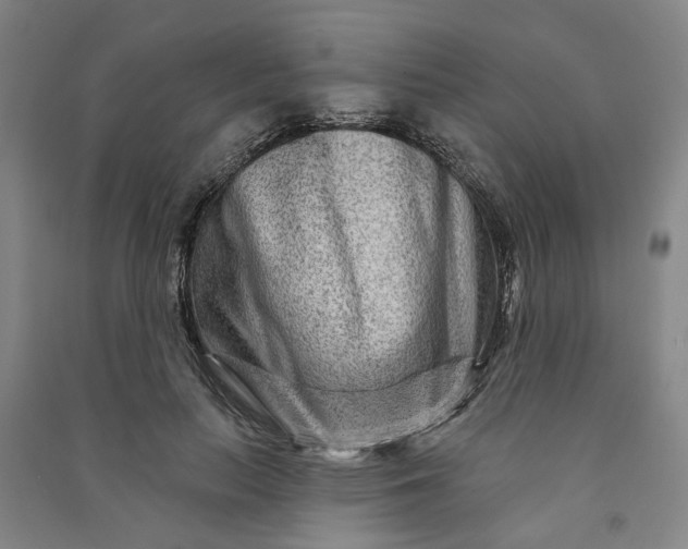 X0000090950647200708161757