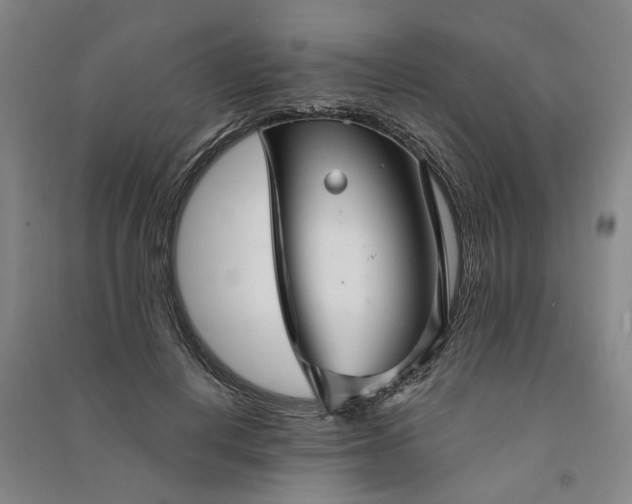 X0000090950648200708161757