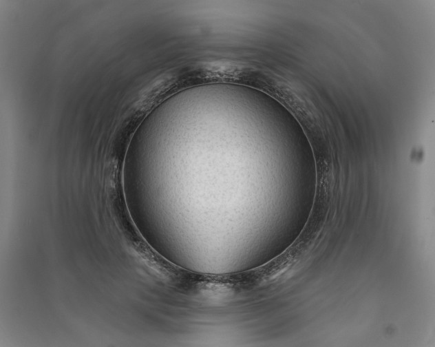 X0000090950649200708161757