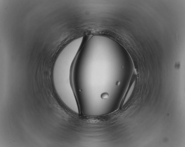 X0000090950650200708161757