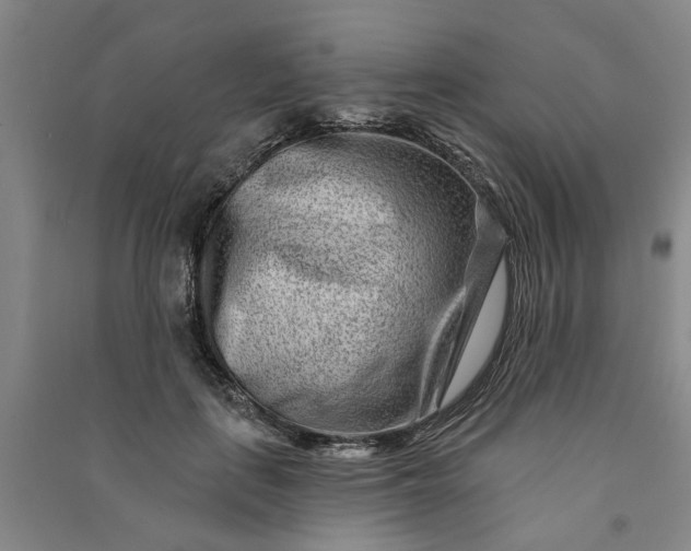 X0000090950651200708161757