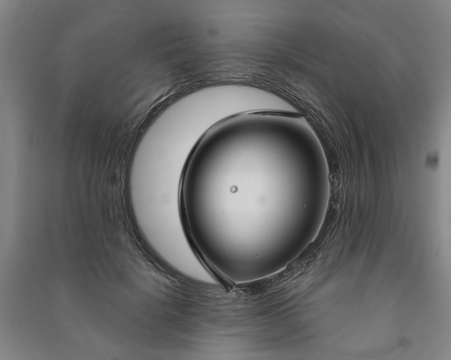 X0000090950652200708161757