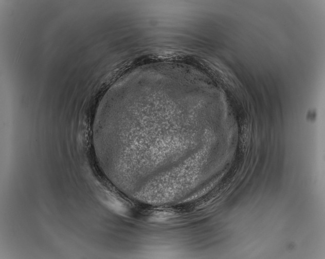 X0000090950653200708161757