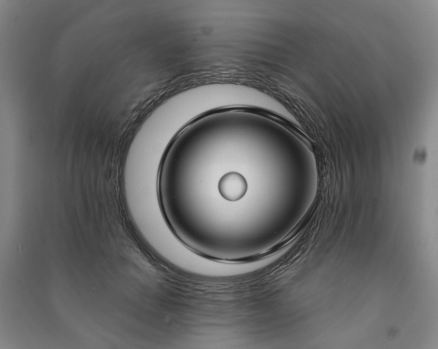X0000090950654200708161757