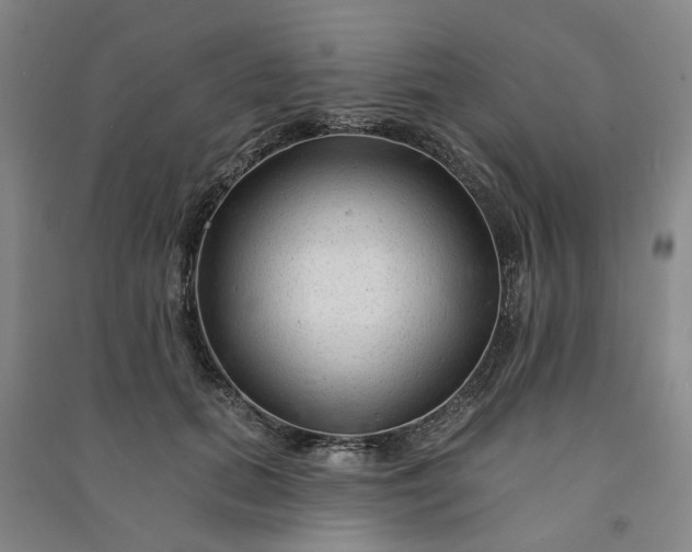 X0000090950655200708161757