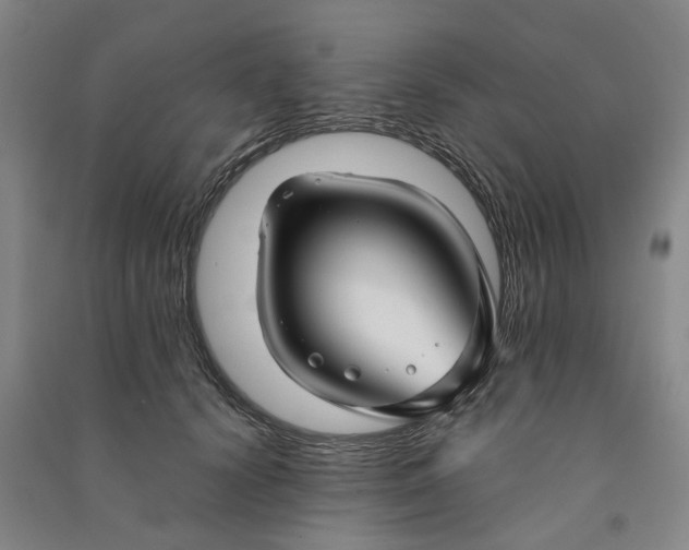X0000090950656200708161757