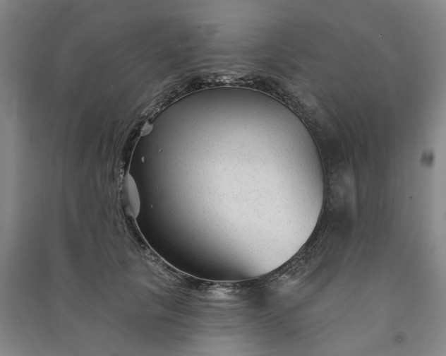 X0000090950657200708161757