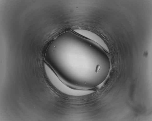 X0000090950658200708161757