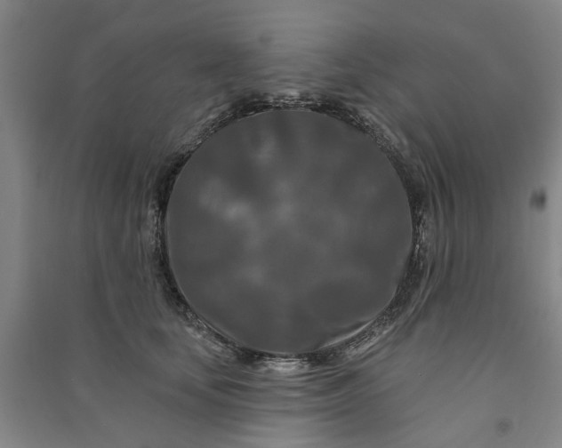 X0000090950659200708161757