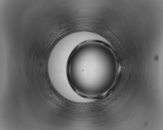 X0000090950660200708161757