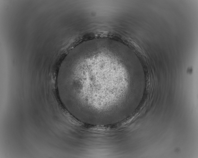 X0000090950661200708161757