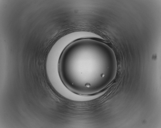 X0000090950662200708161757