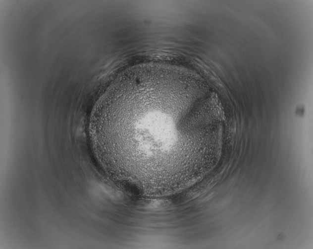 X0000090950663200708161757