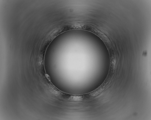 X0000090950665200708161757