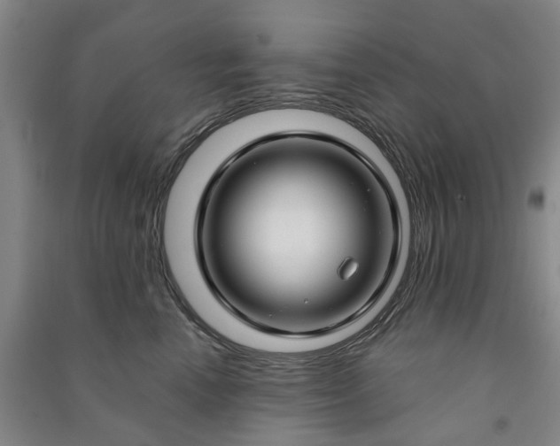 X0000090950666200708161757