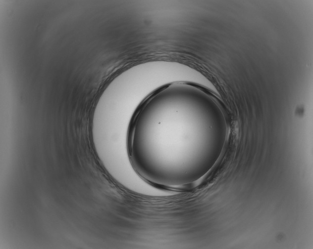 X0000090950668200708161757