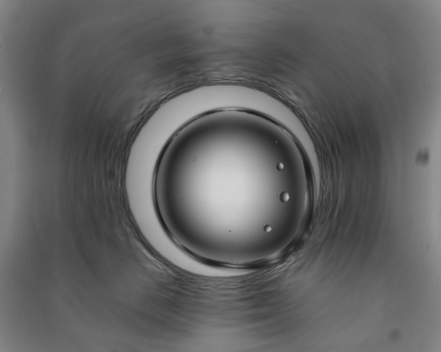 X0000090950670200708161757
